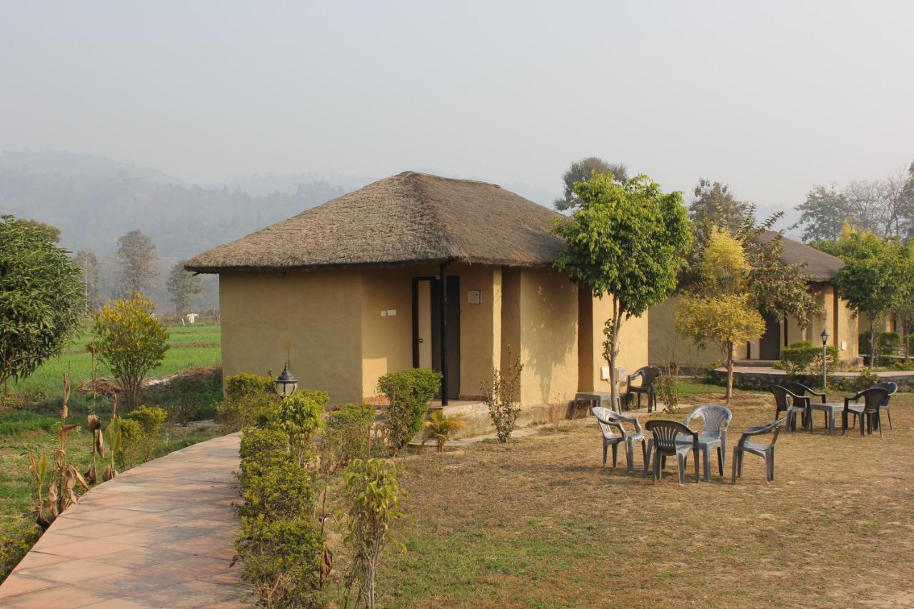 Tusk And Roar Corbett Resort Dhela Exteriér fotografie