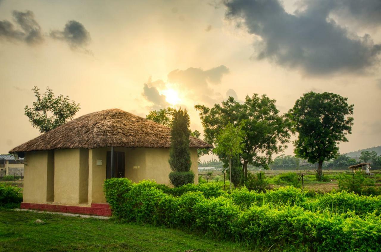 Tusk And Roar Corbett Resort Dhela Exteriér fotografie