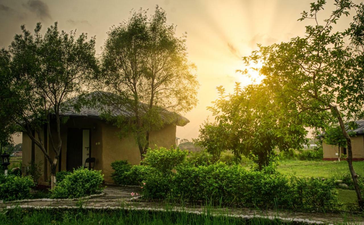 Tusk And Roar Corbett Resort Dhela Exteriér fotografie